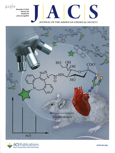 journal of the american chemical society